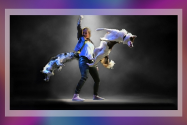 Mutts Gone Nuts – Unleashed! Presented by Aventura Arts and Cultural Center