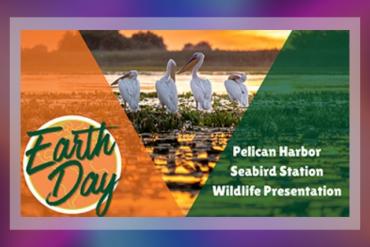 Pelican Harbor Seabird Station Wildlife Presentation Presented by University of Miami Libraries